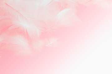 Fototapeta na wymiar Beautiful Soft Pink Feathers Texture Vintage Background