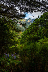 Madeira - Levada da Norte