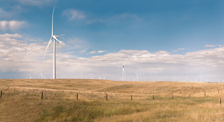 Wind generators field at the summer sunny weather steppe