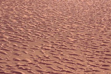 Abstract background. Surface of the beach at sunset. Trend color 2022 Calming Coral.