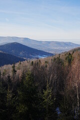 Mountains in Western Carpathians near Bielsko-Biala, Poland - vertical