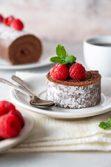 Slice of chocolate roll cake or swiss dessert cake with raspberries.