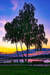 Zalew pasternik © Krzysztof Rostkowski