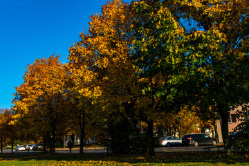 Polska złota jesień © Krzysztof Rostkowski