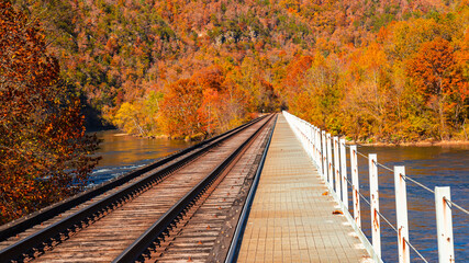 Fototapeta na wymiar Railroad tracks leading to who knows where.