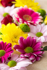 Spring flower composition on pink background made from fresh Chrysanthemum.