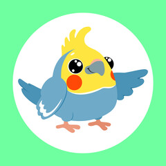 funny little cockatiel parrot. cute cartoon bird (corella) on white and mint green background .colorful vector illustration.