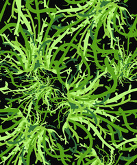 Plant print on a dark background. Vector pattern, texture. A flat picture in delicate green shades on a black background. Elements for the design and printing of wallpaper, packaging  and textiles. 
