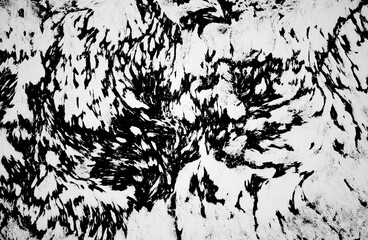 Swamp with reed, water and mud forming abstract image of natural textures. Shoot from drone in winter time