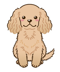 アメリカンコッカースパニエル（バフ）