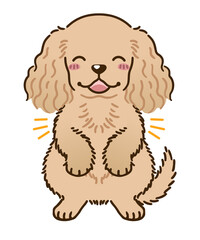 喜ぶアメリカンコッカースパニエル（バフ）