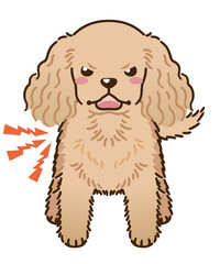 威嚇するアメリカンコッカースパニエル（バフ）