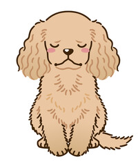 落ち込むアメリカンコッカースパニエル（バフ）