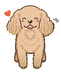 なつくアメリカンコッカースパニエル（バフ）