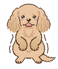 おびえるアメリカンコッカースパニエル（バフ）