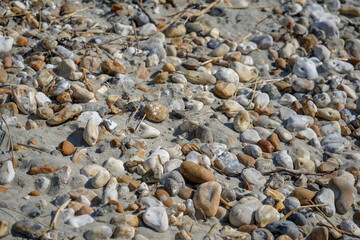 Close up of pebbles in a sandy beach