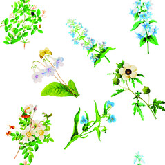 Obraz premium Beautiful seamless repeated vintage florals patterns free download perfect for fabrics, t-shirts packaging etc