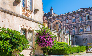 PORTUGAL Bougainvillea Strauch an  Historischen Gebäude 