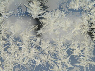 snow frost in windows