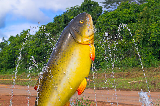 Brycon fish fountain at Rota das Aguas lodging, Nobres, State of Mato Grosso, Brazil. December 30, 2021