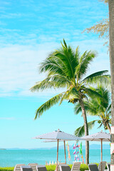 Tropical palm tree with sun light on blue sky. Summer vacation and nature travel adventure concept. Coconut trees .