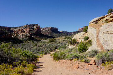 Fototapeta na wymiar Devils Kitchen Trail in Colorado National Monument