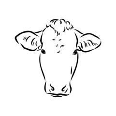 Isolated cow eating grass on a white background. Black and white sketch line silhouette vector illustration.