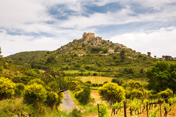 Green Vines in Corbière Wine Region Rolling Landscape in front of Aguilar Cathar Castle in Aude, France