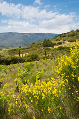 Corbière Wine Region Rolling Landscape on a Spring Day in Aude, France