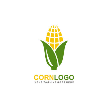 Farm logo. Corn logo design vector illustration