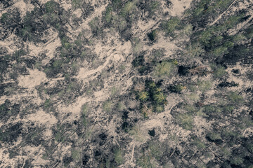 Aerial view of winter forest covered in snow. Winter landscape. Trees in the snow. Frosty forest. Nature