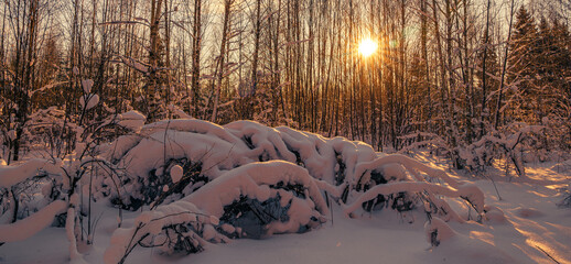 beautiful winter landscape with snow-covered trees in the forest