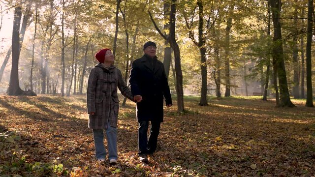 Positive elderly husband and wife enjoying walk around forest park on sunny frosty autumn day. Healthy aged people walking holding hands on carpet of fallen leaves and breathing fresh air in nature