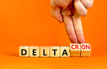 Covid-19 delta and deltacron symbol. Doctor turns cubes and changes the word delta to deltacron. Beautiful orange background. Medical, covid-19 corona delta and deltacron concept. Copy space.