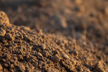 The texture of soil. Soil. Fertile soil for agriculture. Closeup of fertile soil. Agriculture...