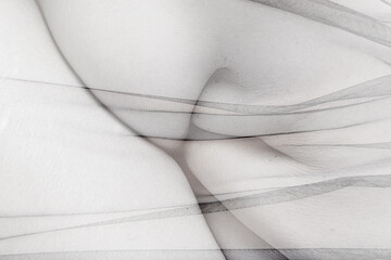human folds