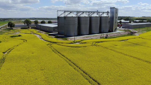 Modern Granary elevator. Silver silos on agro-processing and manufacturing plant for processing drying cleaning storage of agricultural products. Aerial View Landscape Rapeseed Yellow Canola Field.