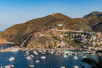 Fototapeta premium Sunny high angle view of the beautiful Avalon city of Catalina Island