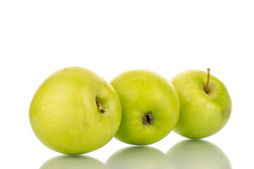 Three sweet green apples, close-up, isolated on white.