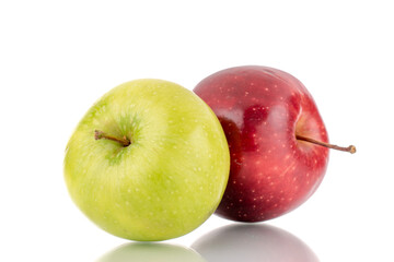 Two sweet red and green apples , close-up, isolated on white.