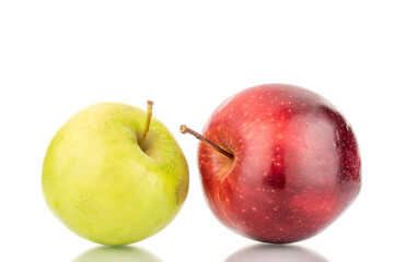 Two sweet red and green apples , close-up, isolated on white.