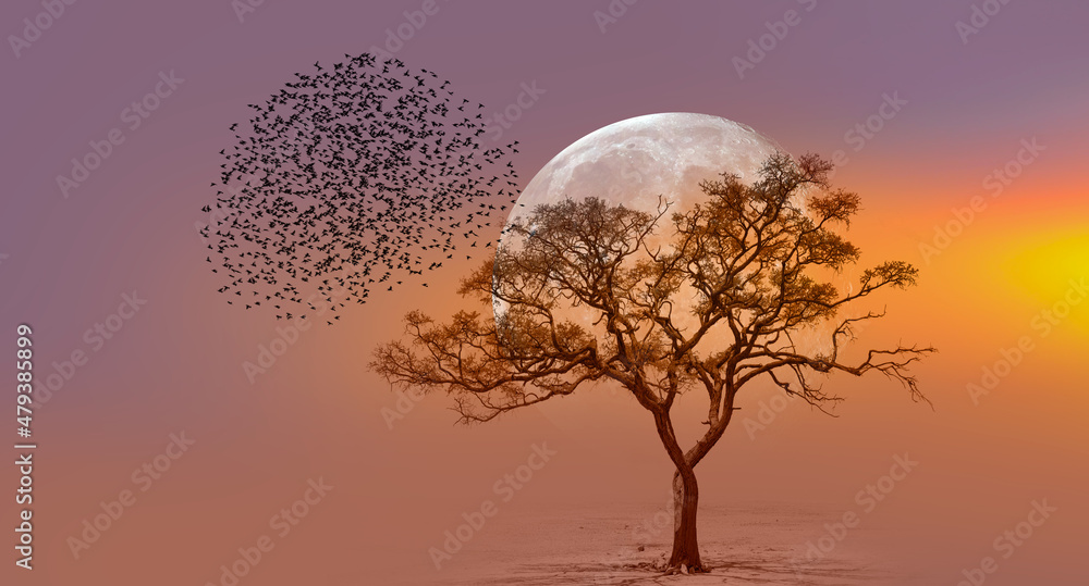 Poster lone dead tree with silhouette of birds flying, full moon rising in the background 