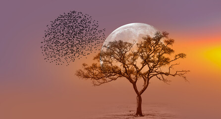 Lone dead tree with silhouette of birds flying, full moon rising in the background "Elements of this image furnished by NASA" © muratart