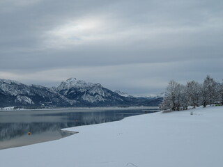 Fototapeta na wymiar Winterlandschaft am Forggensee