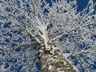 Winterwunderland Oy-Mittelberg im Allgäu