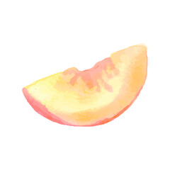 Watercolor peaches set. Hand-drawn vector peach. Sweet fruit drawing. Vector illustration