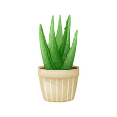 Vector isolated cartoon illustration of home potted succulent aloe vera plant.