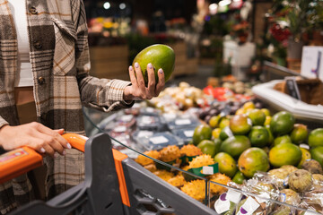 Fototapeta premium Close up of woman choosing ripe mango at supermarket