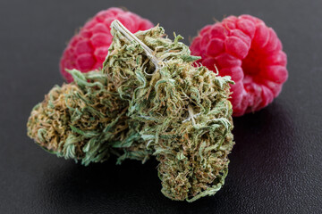 Macro close-up of bright green buds of marijuana. covered with crystals and orange hairs next to...