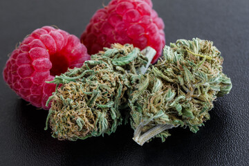 Macro close-up of bright green buds of marijuana. covered with crystals and orange hairs next to...